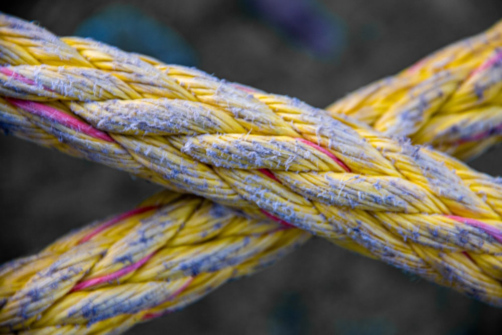 a close up of a yellow and blue rope