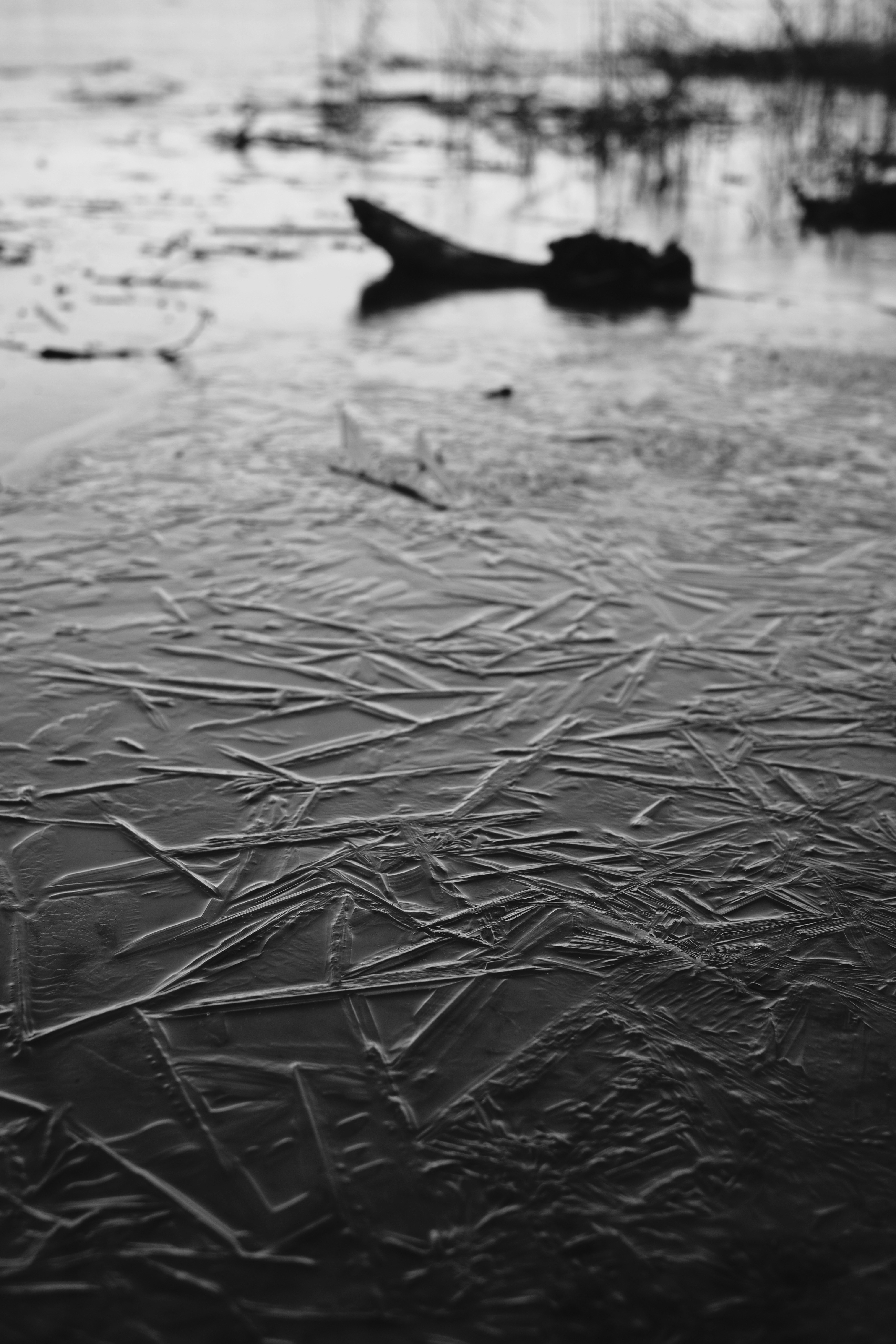 Photo by victor_vector