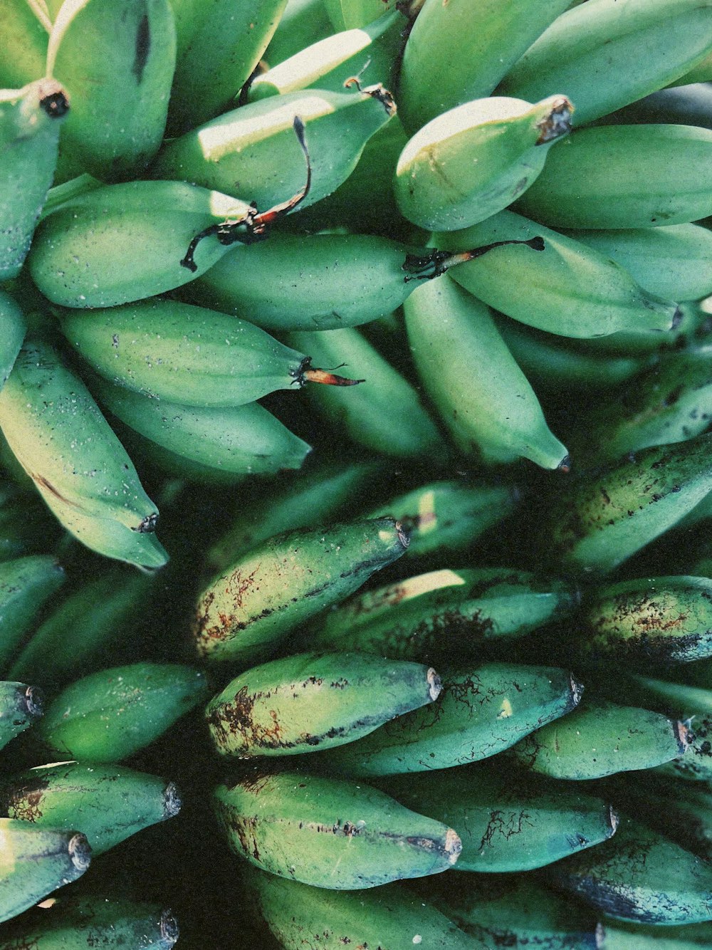 a large bunch of green bananas with brown spots on them
