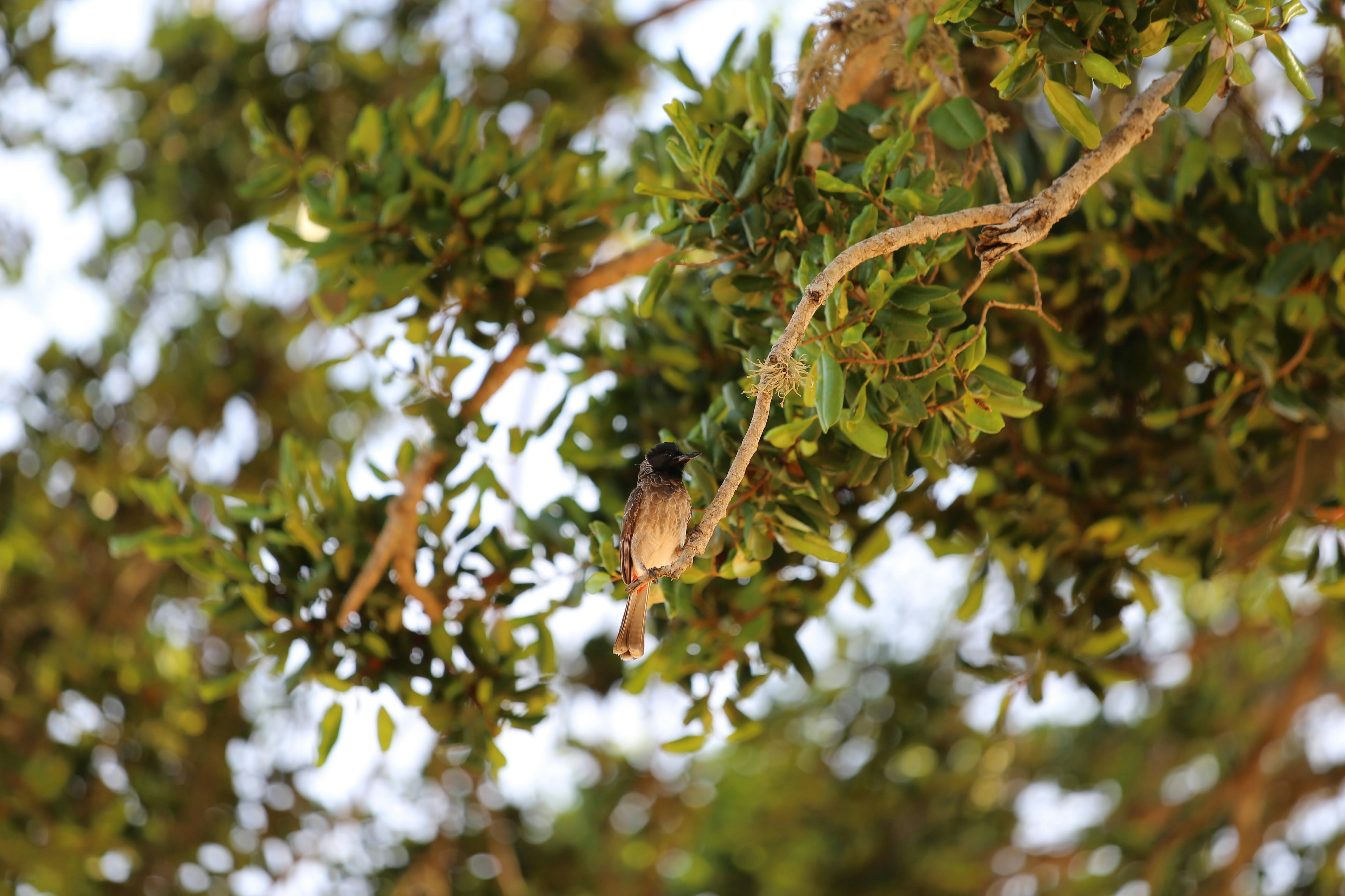 Photo by abeersethia