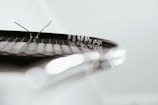 A close-up view of a tennis racket focusing on the strings. Two broken strings are visibly protruding, set against a blurred background. The image highlights the texture and pattern of the racket strings.