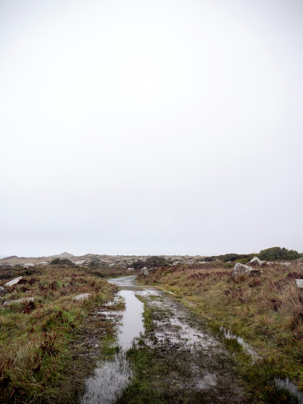 a muddy path in a field with grass and rocks