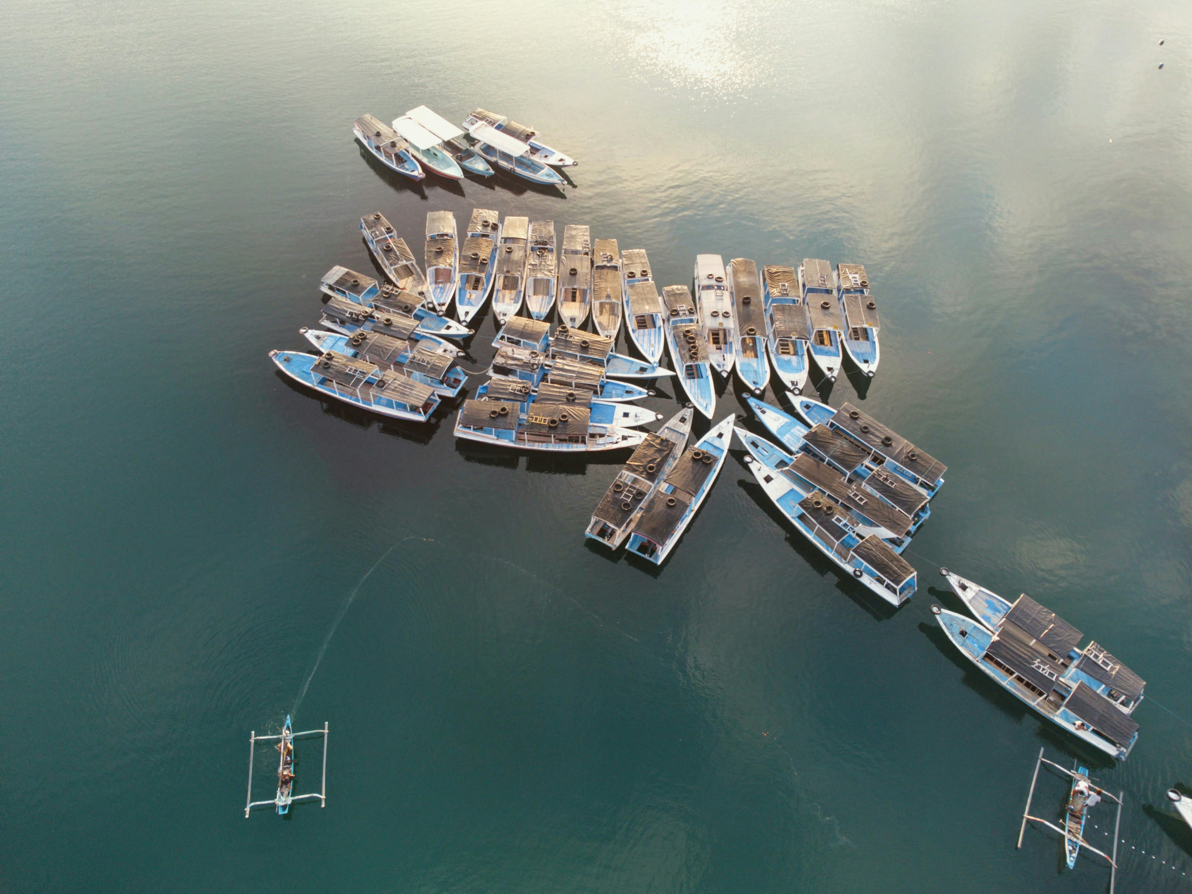 a bunch of boats are docked in the water