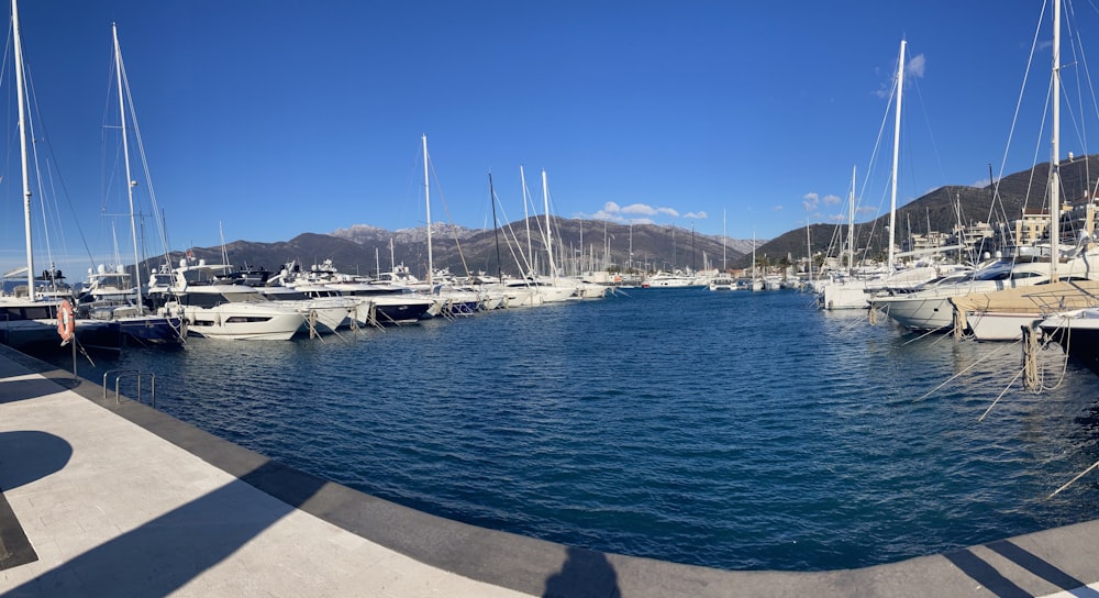 Un montón de barcos que están en el agua