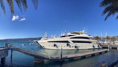 a large white boat docked at a dock