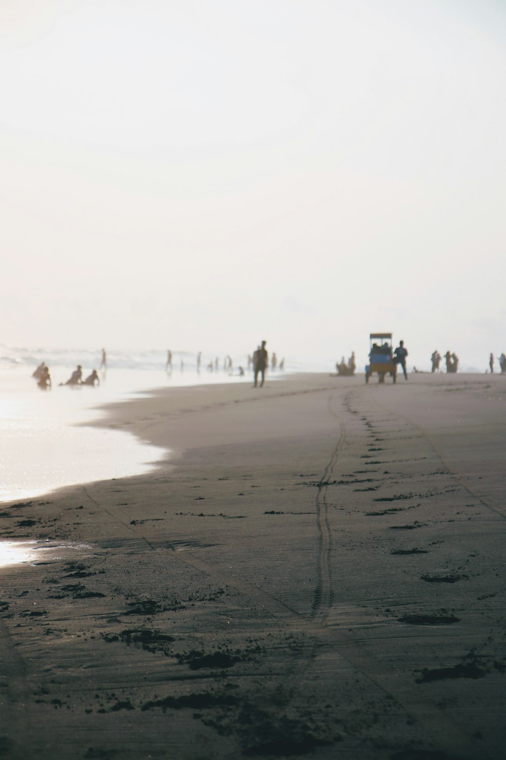 a group of people standing on top of a beach next to the ocean