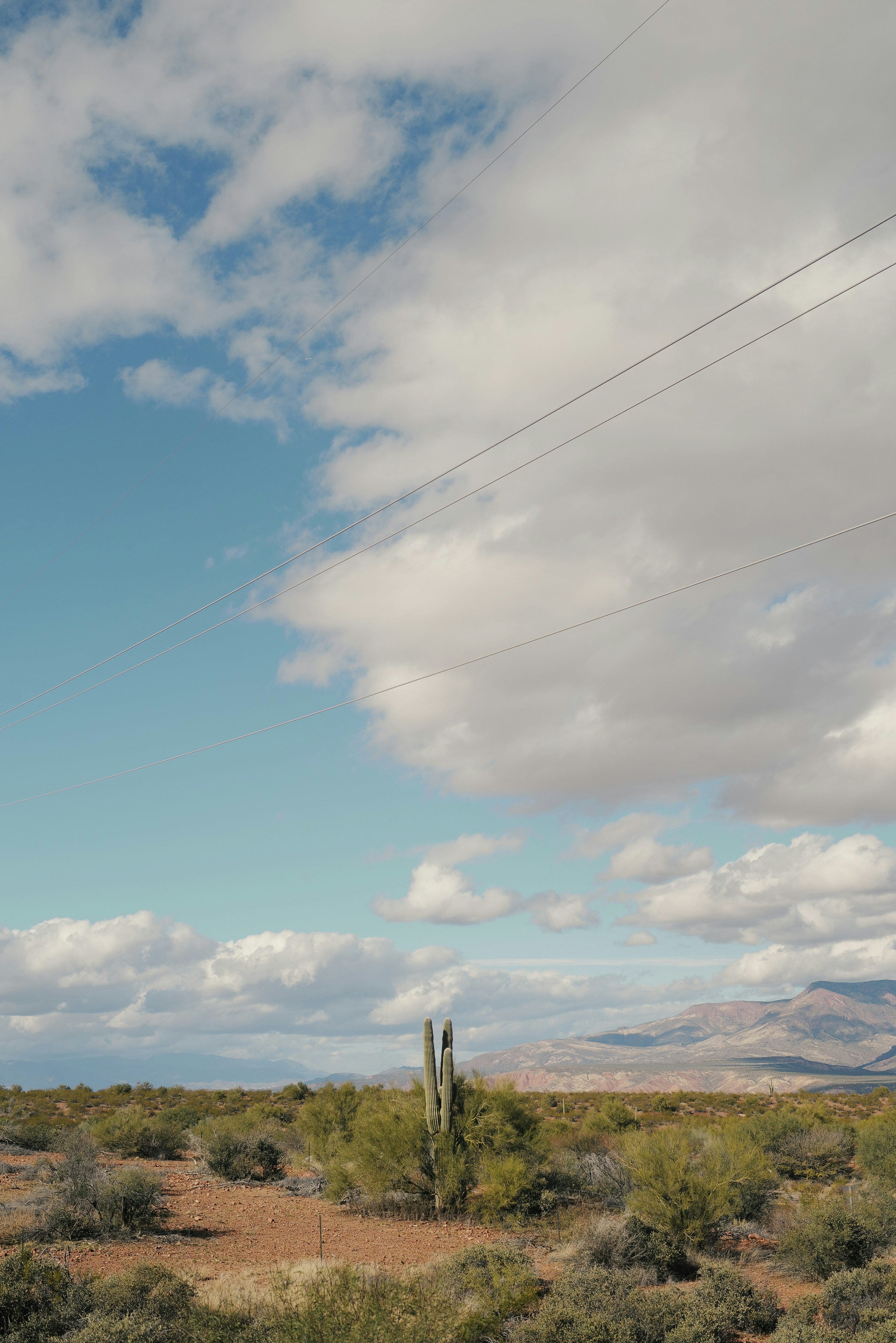 Photo by antoinevdlb