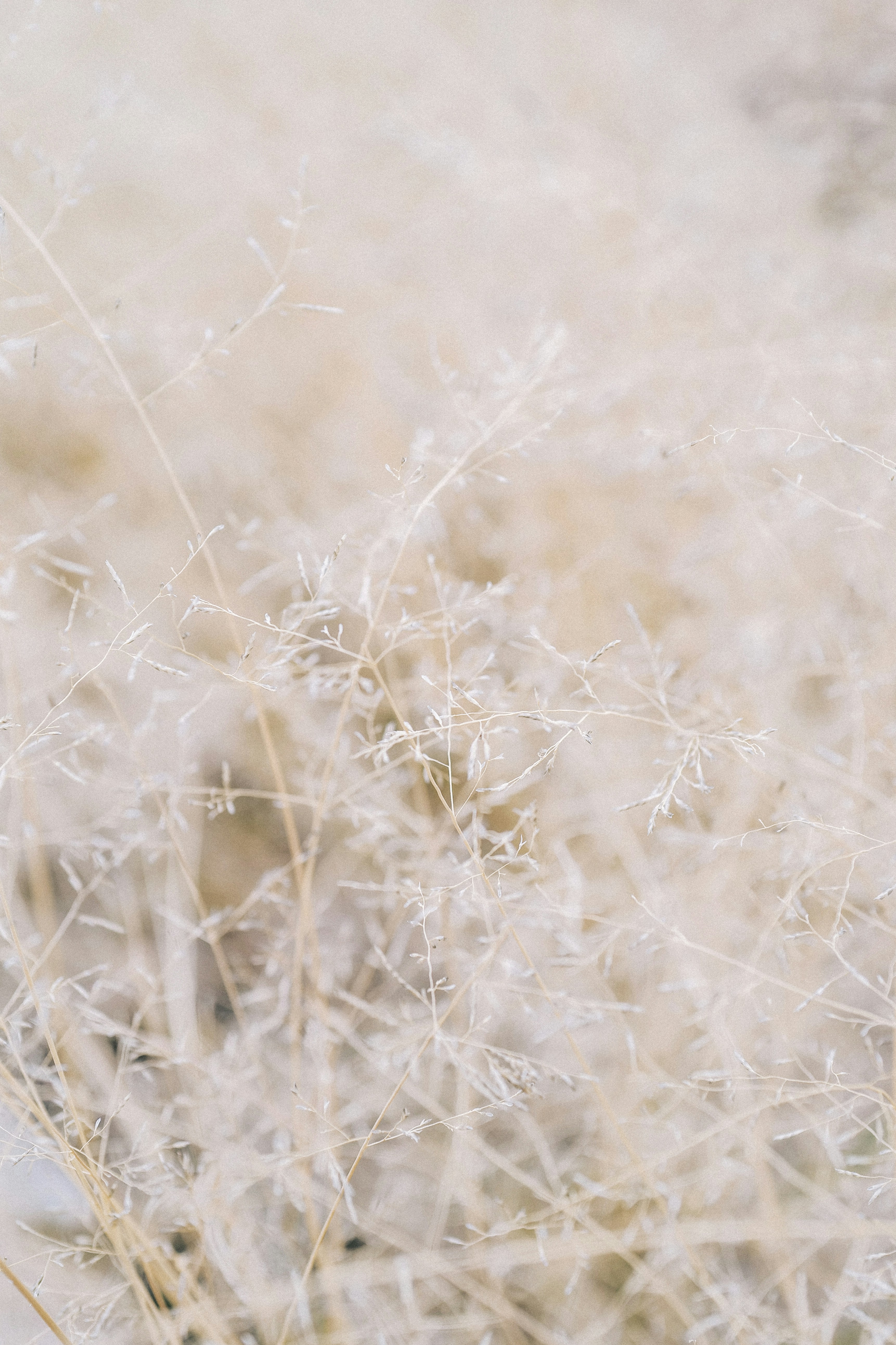 Photo by antoinevdlb