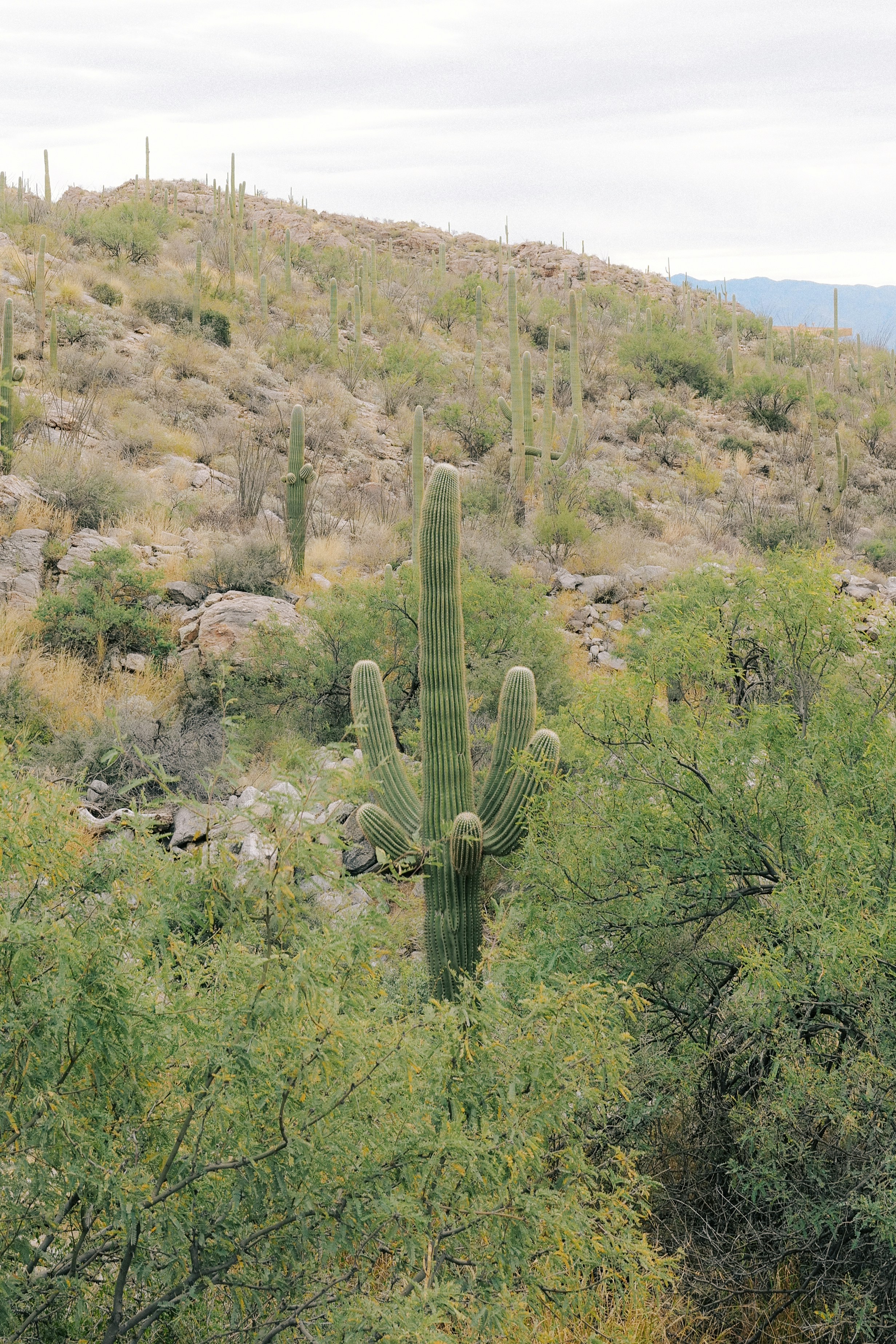 Photo by antoinevdlb