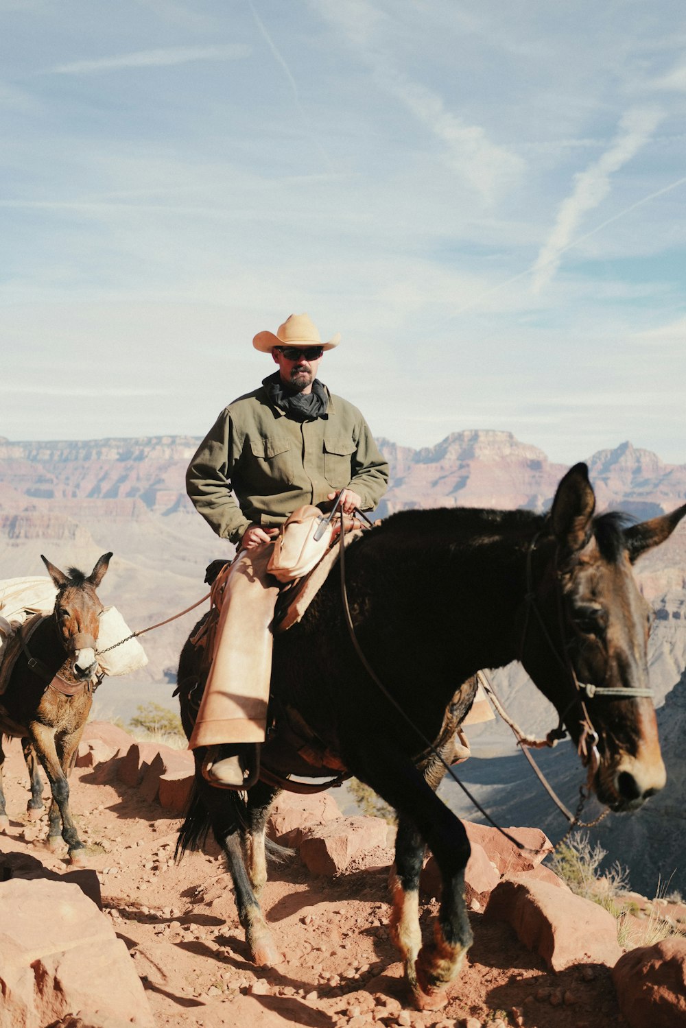 a man riding on the back of a brown horse