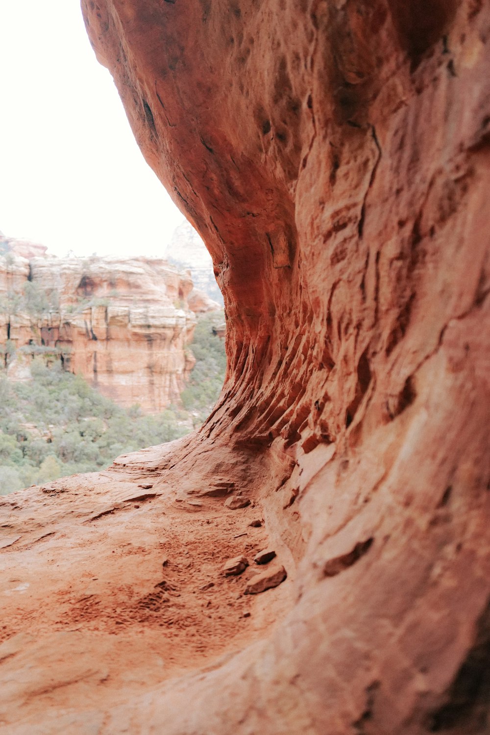 a view of a canyon from inside a cave