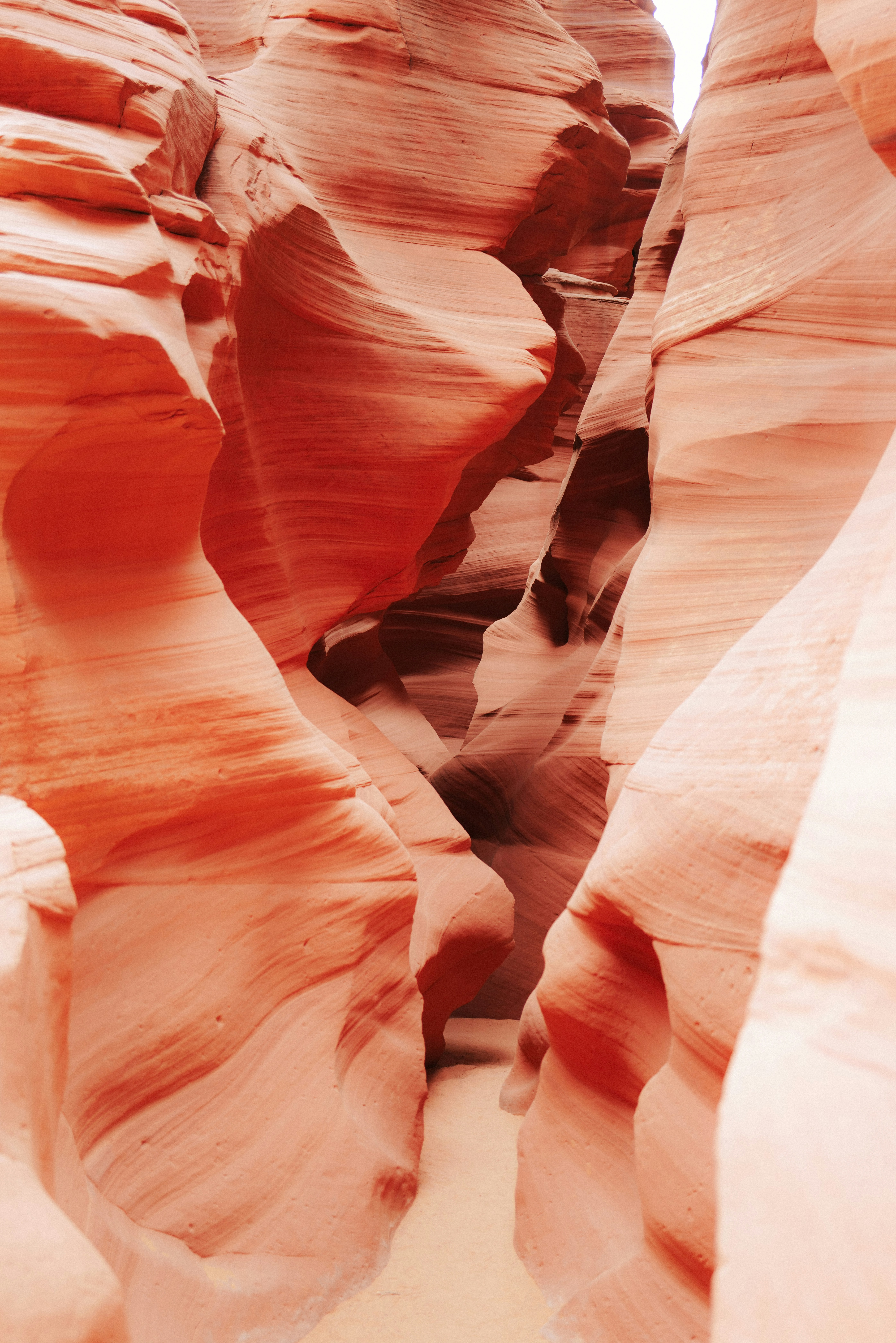 Photo by antoinevdlb