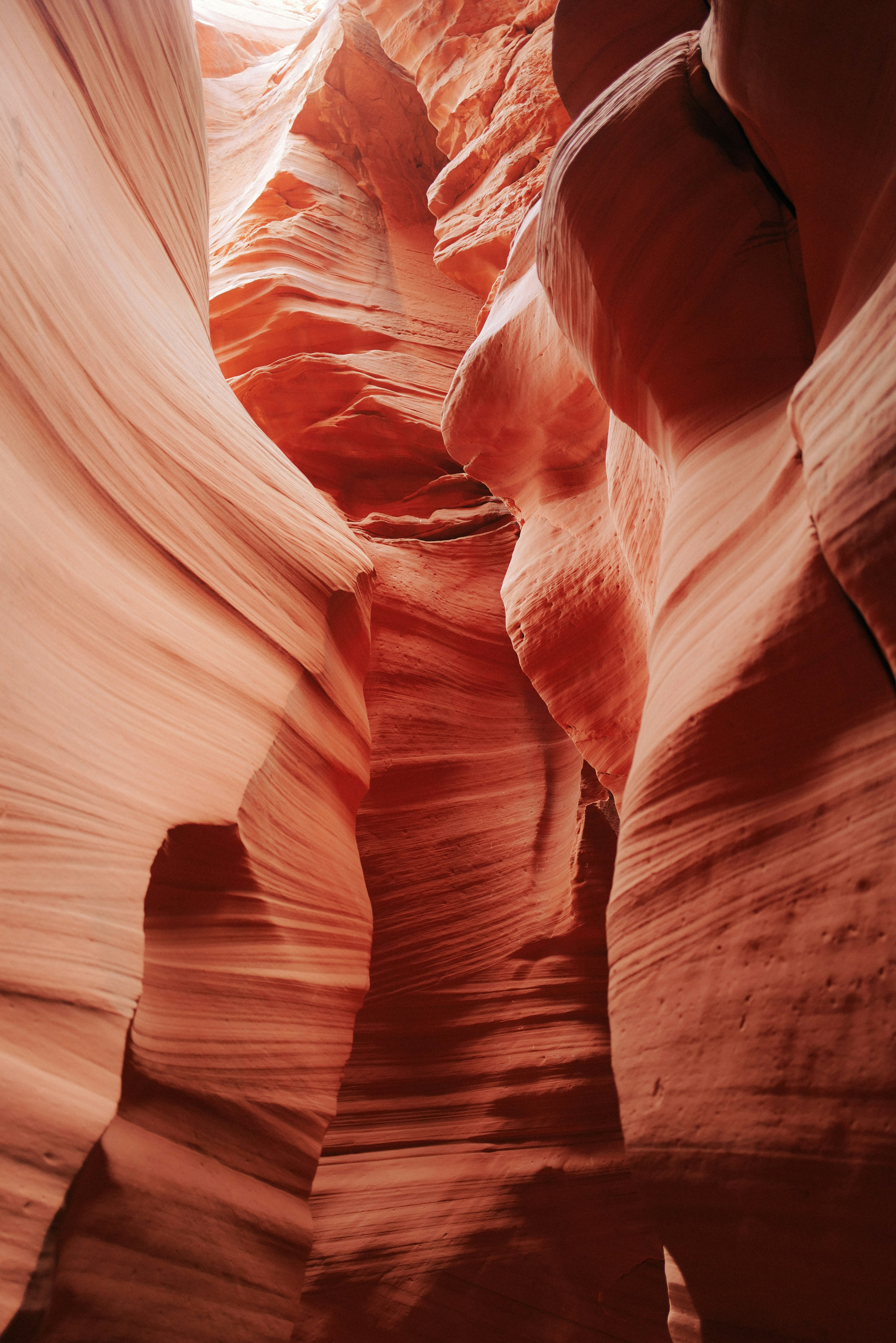 Photo by antoinevdlb