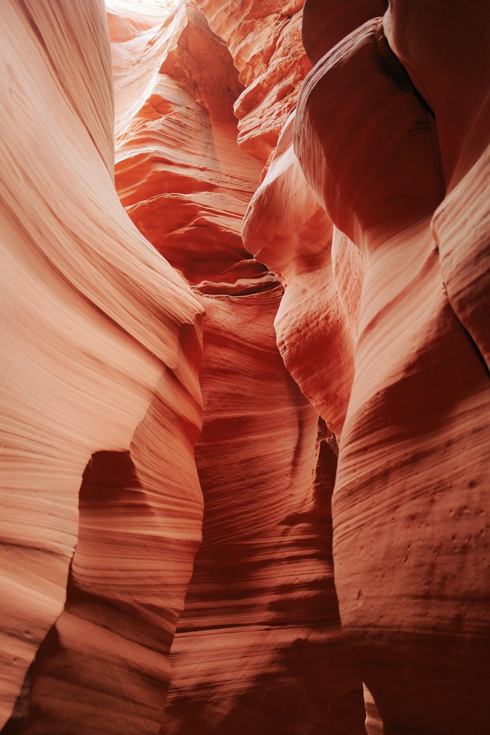 a narrow slot in the side of a canyon