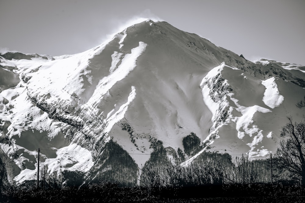 ein großer schneebedeckter Berg mit Bäumen im Vordergrund