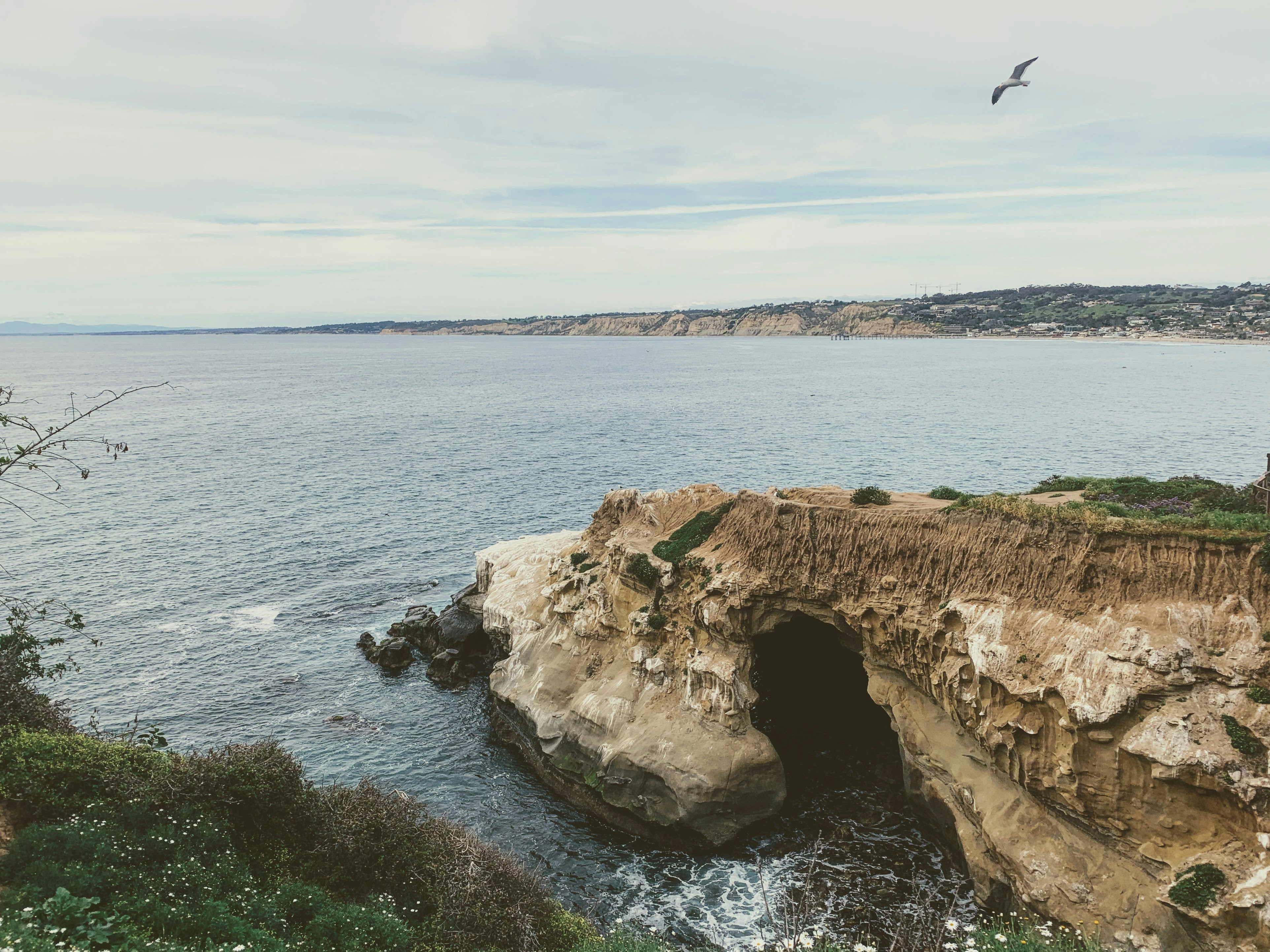 a bird flying over a large body of water