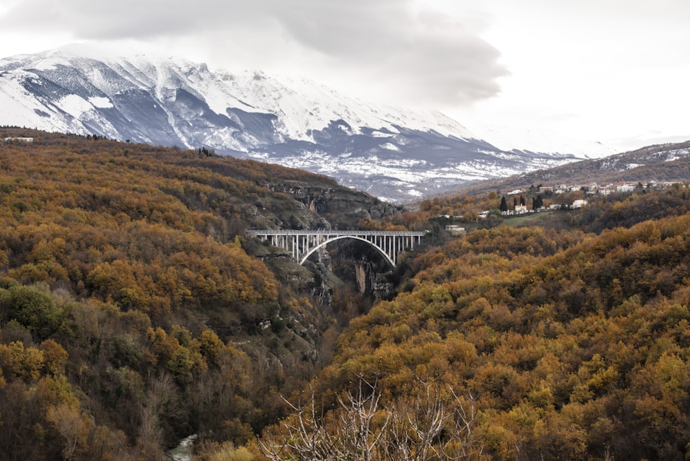 a bridge over a river surrounded by mountains
