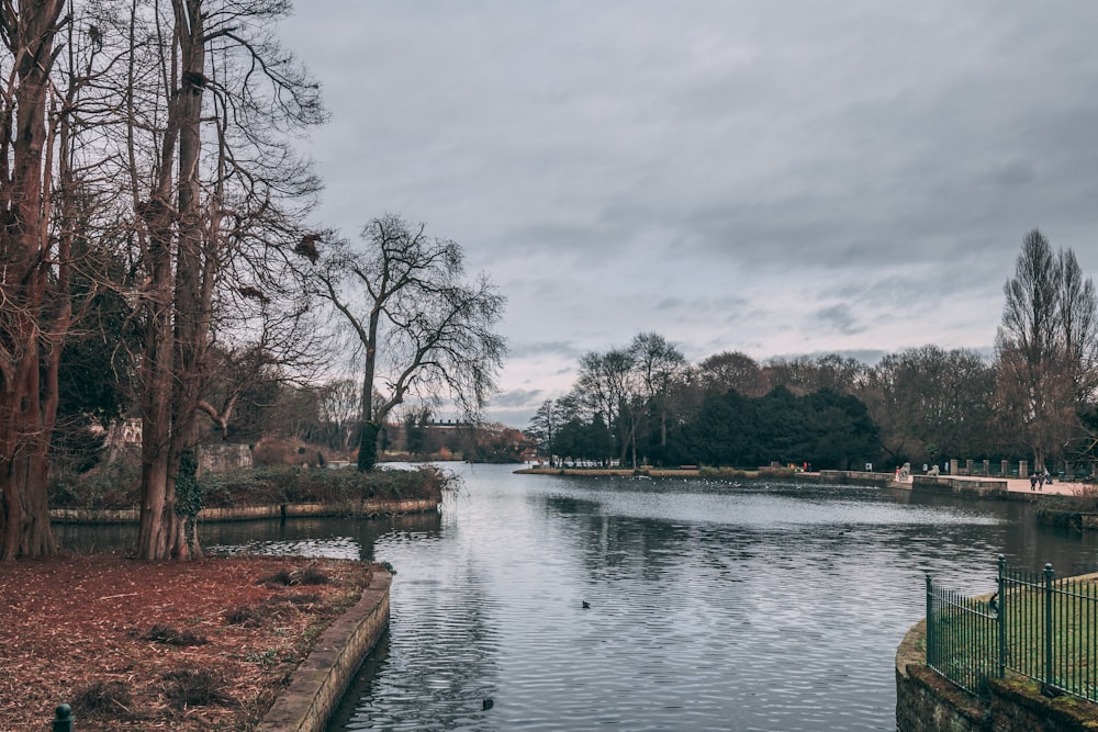 a body of water surrounded by trees and a fence