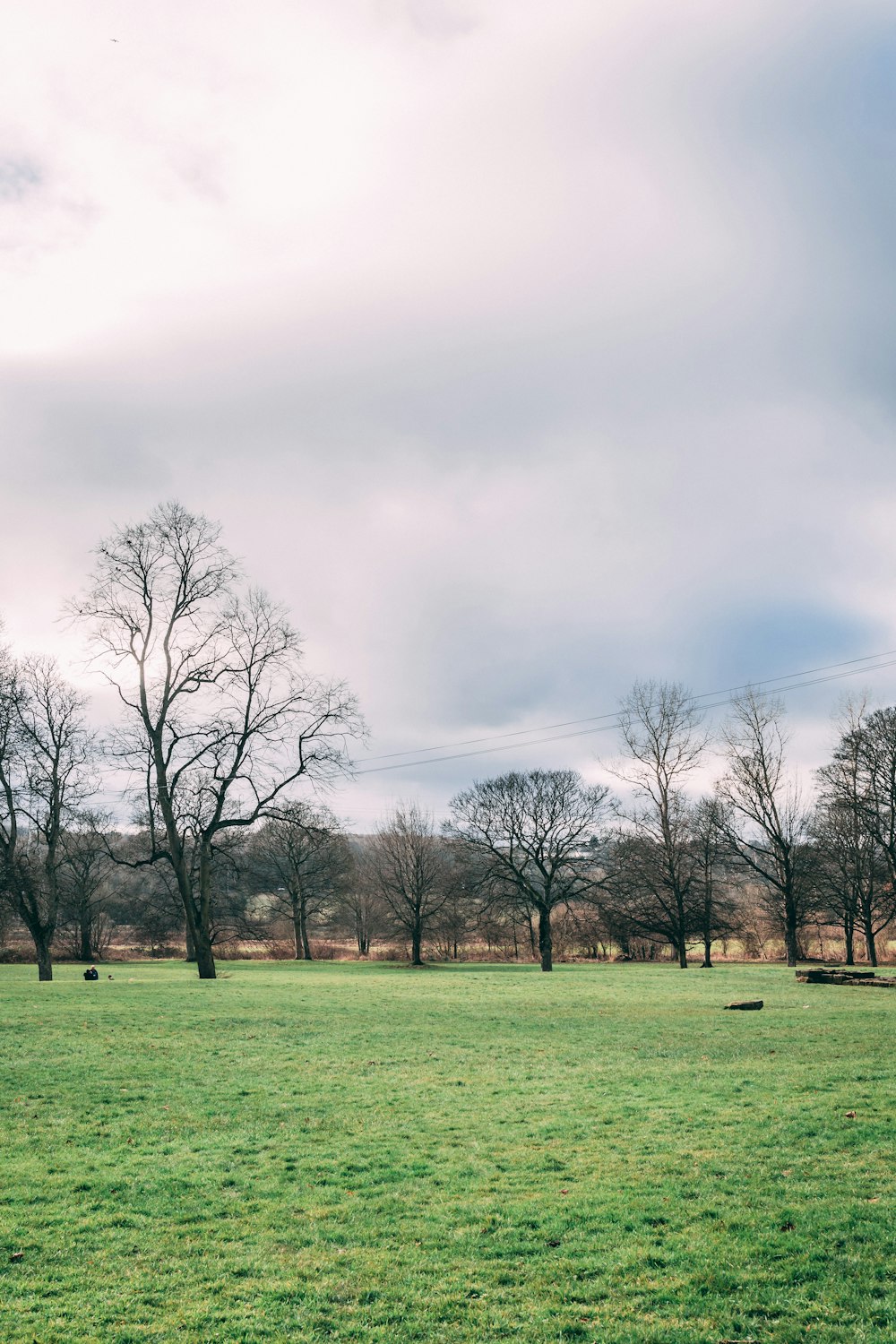 a grassy field with trees in the background