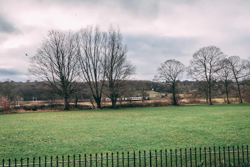 Best Time to Visit Leeds: Month-by-Month Guide for Every Type of Traveller