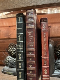 Three leather-bound books are standing upright on a wooden shelf. The spines of the books showcase intricate gold detailing and the titles 'Roscoe,' 'Evidence Of Things Unseen,' and 'Moon Tiger' are visible. Two pinecones are placed next to the books, adding a rustic charm. Soft lighting from above creates a warm and cozy ambiance.