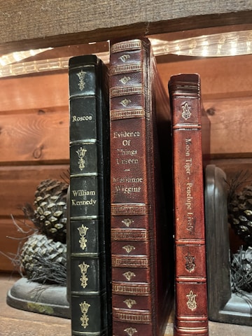 Three leather-bound books are standing upright on a wooden shelf. The spines of the books showcase intricate gold detailing and the titles 'Roscoe,' 'Evidence Of Things Unseen,' and 'Moon Tiger' are visible. Two pinecones are placed next to the books, adding a rustic charm. Soft lighting from above creates a warm and cozy ambiance.