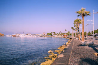 a body of water with palm trees and boats in the background