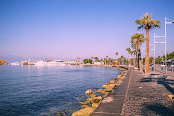 a body of water with palm trees and boats in the background