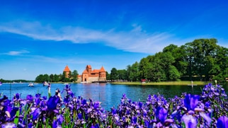 a lake with purple flowers and a castle in the background