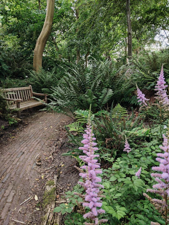 An inviting wooden bench nestled among blooming plants and winding garden paths.