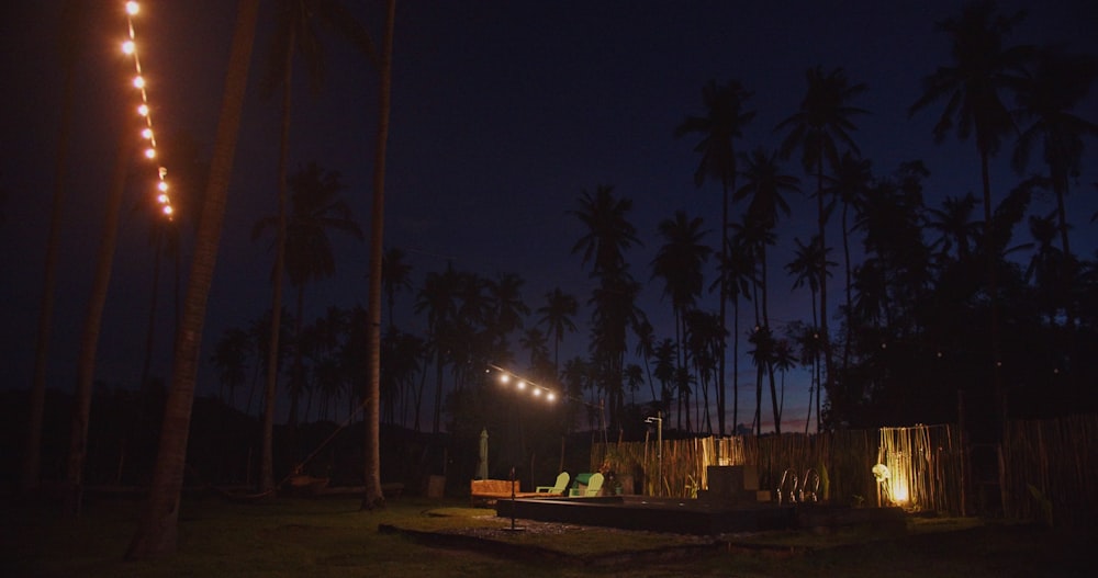 a night time view of a fence and palm trees