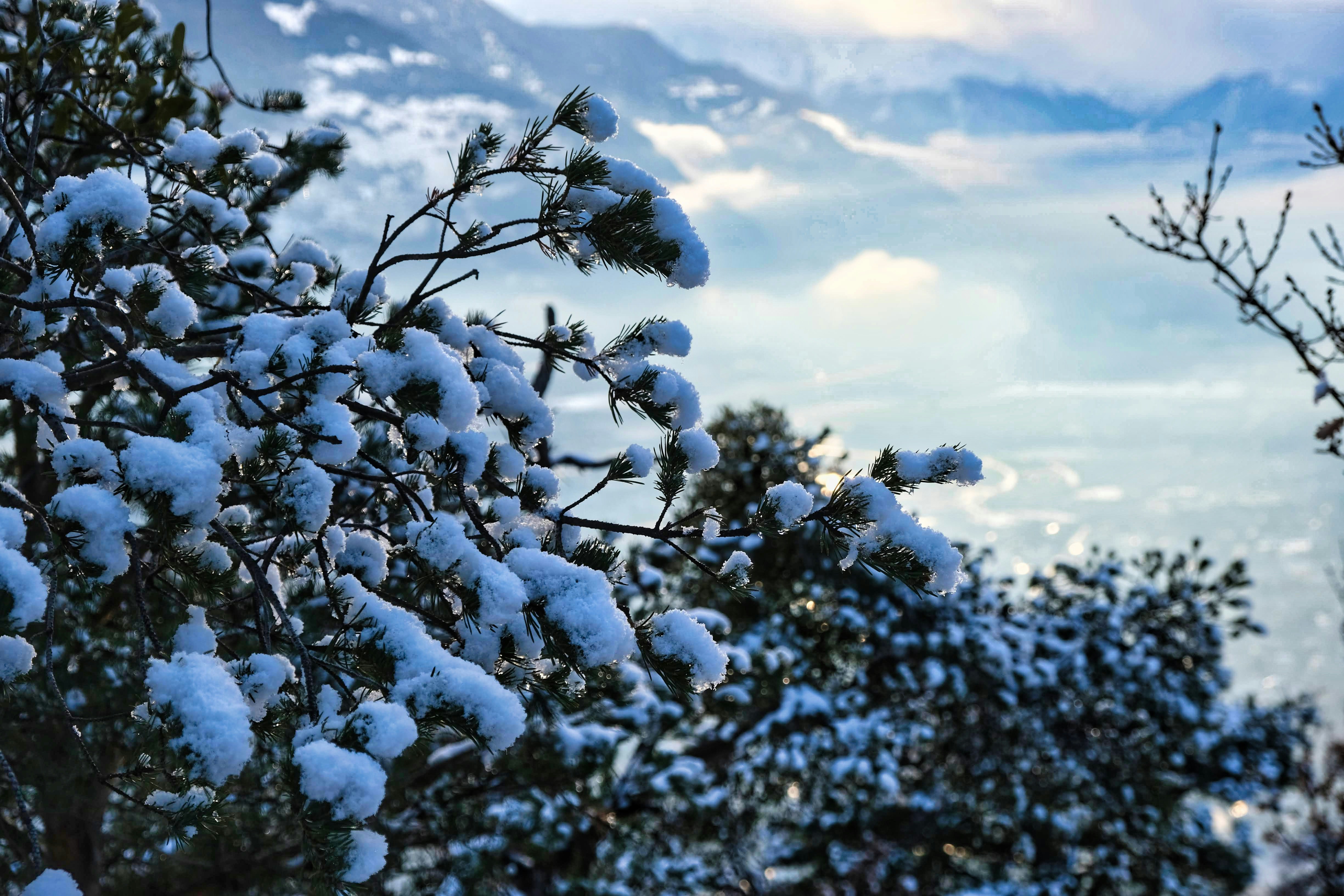 Photo by etienneflorent