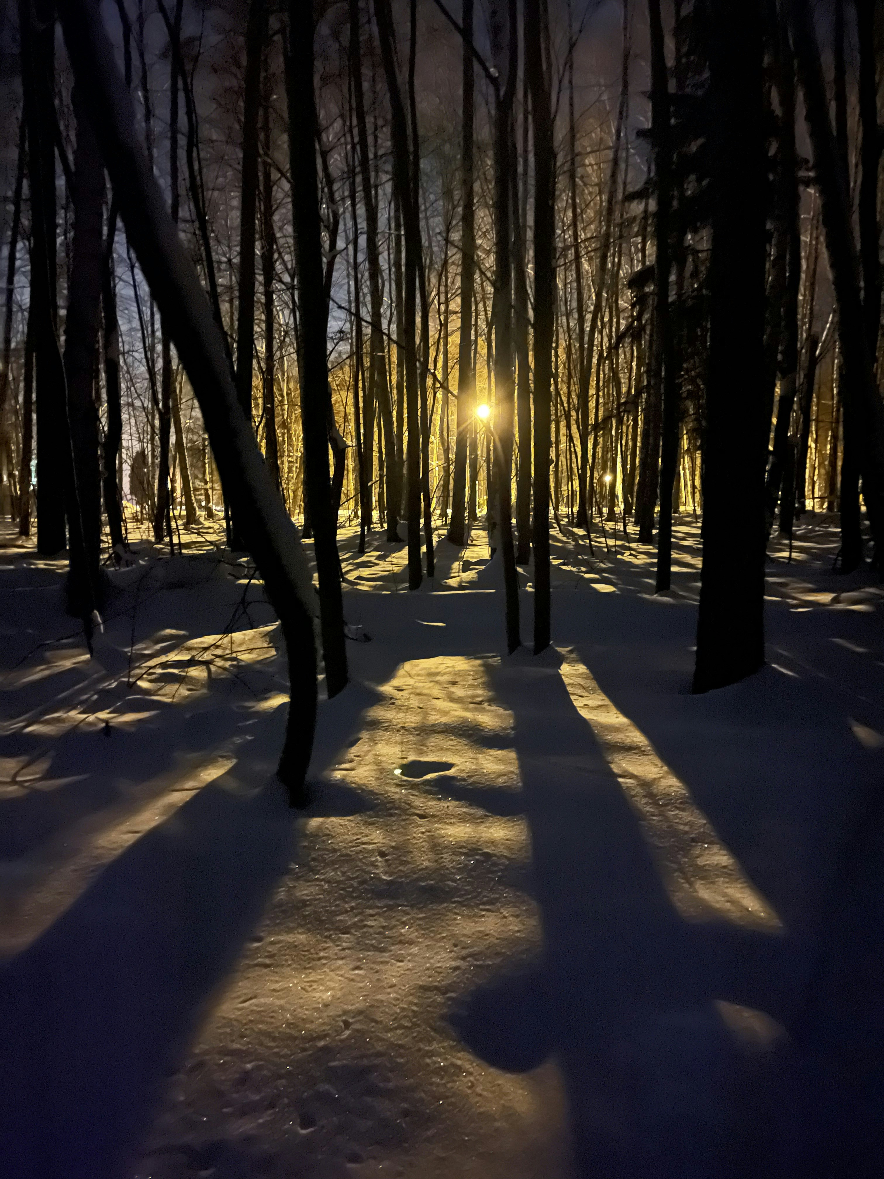 Cover Image for Winter Solstice Wandering