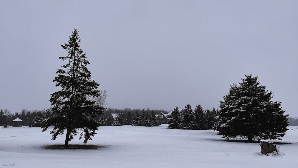 a snow covered field with trees in the distance