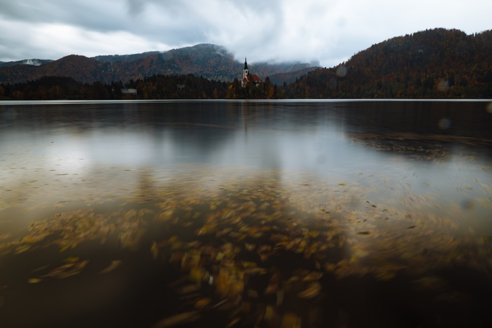 a large body of water surrounded by trees