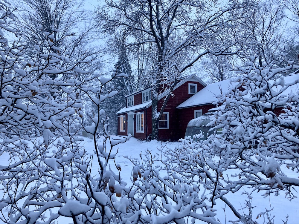 a red house surrounded by snow covered trees