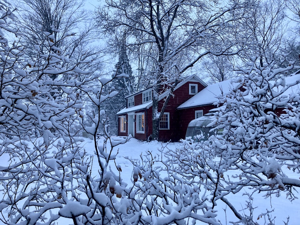 Una casa rossa circondata da alberi innevati