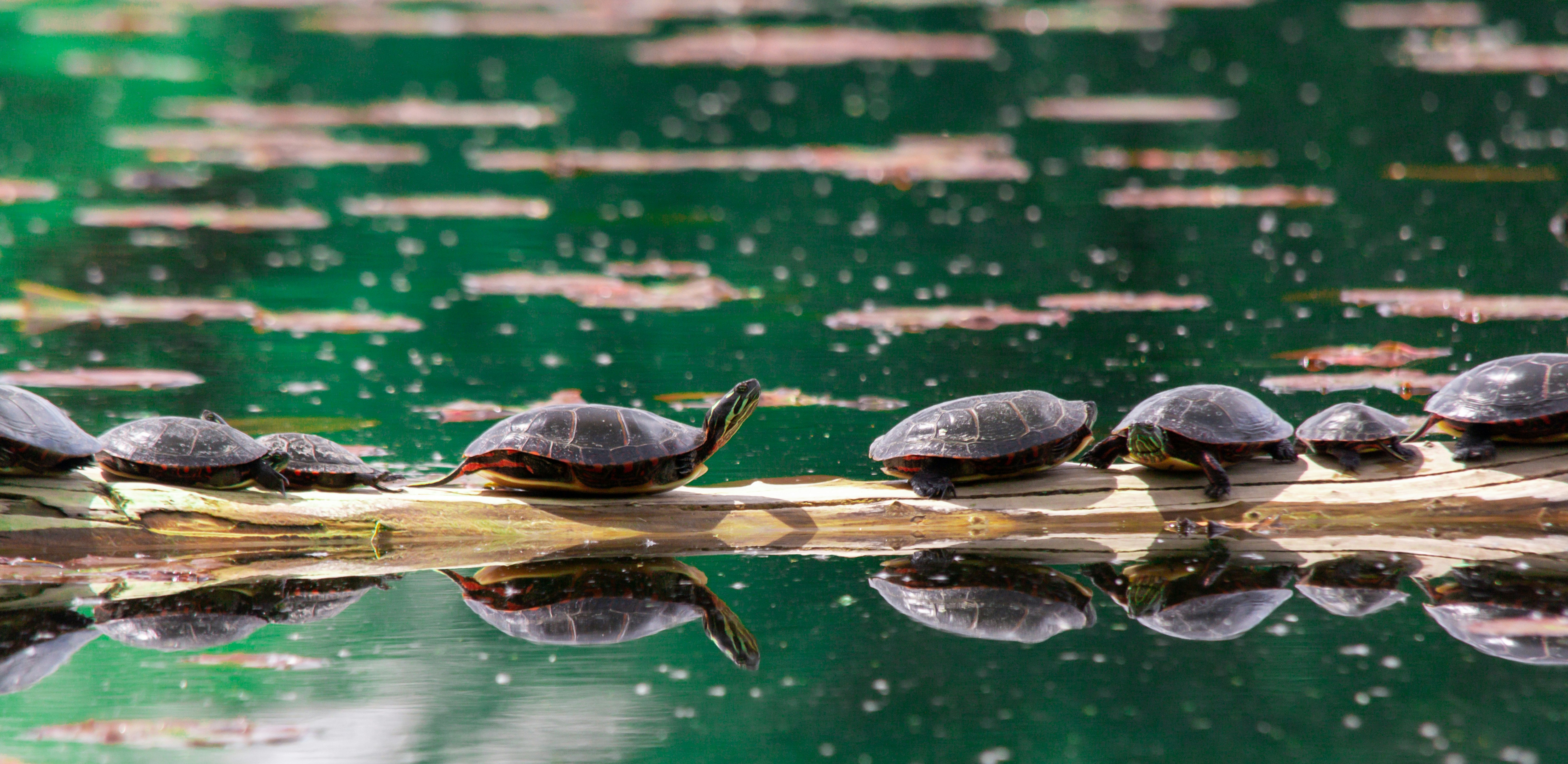 Photo by add_rien_20