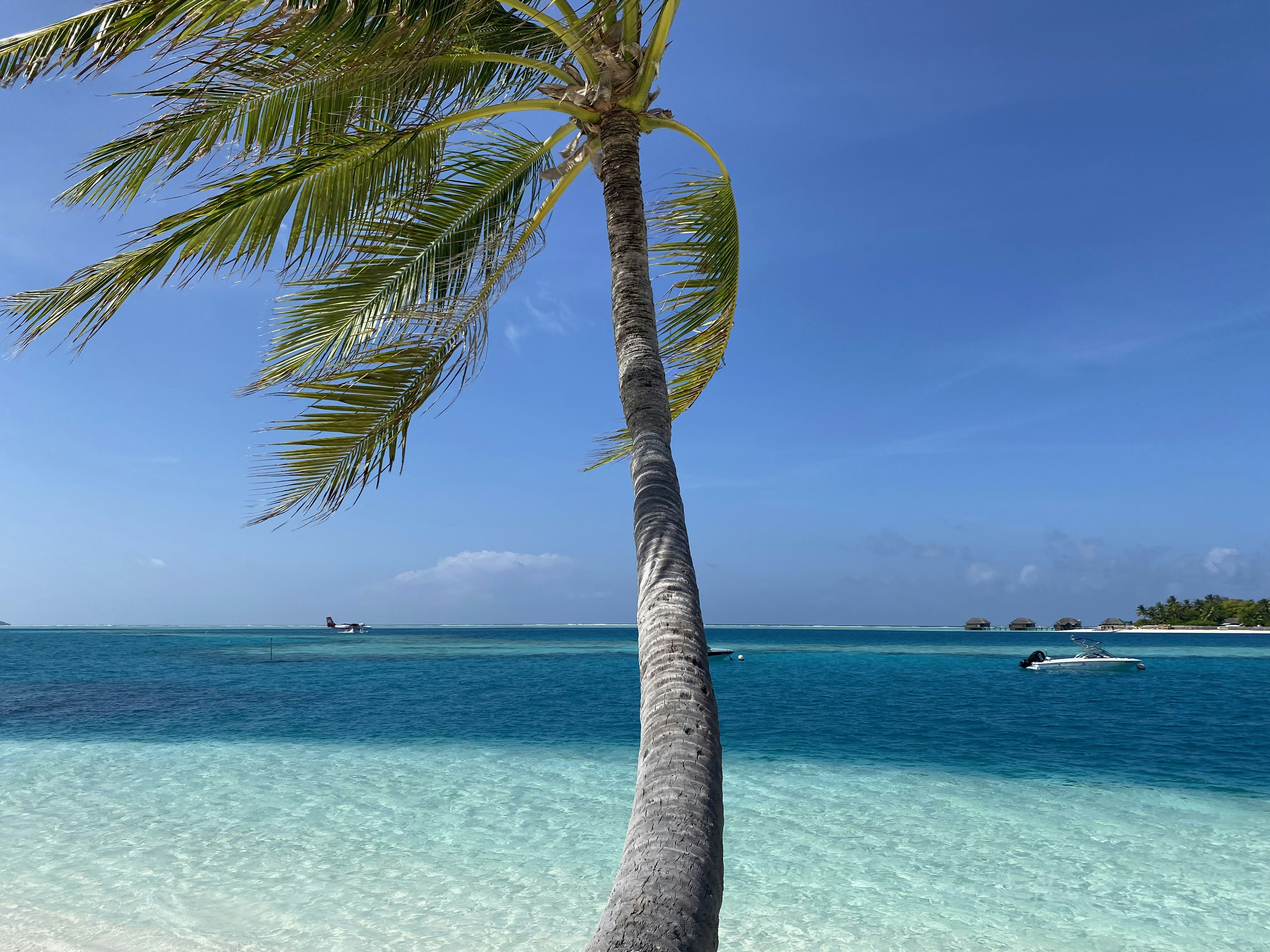 Photo by datingscout