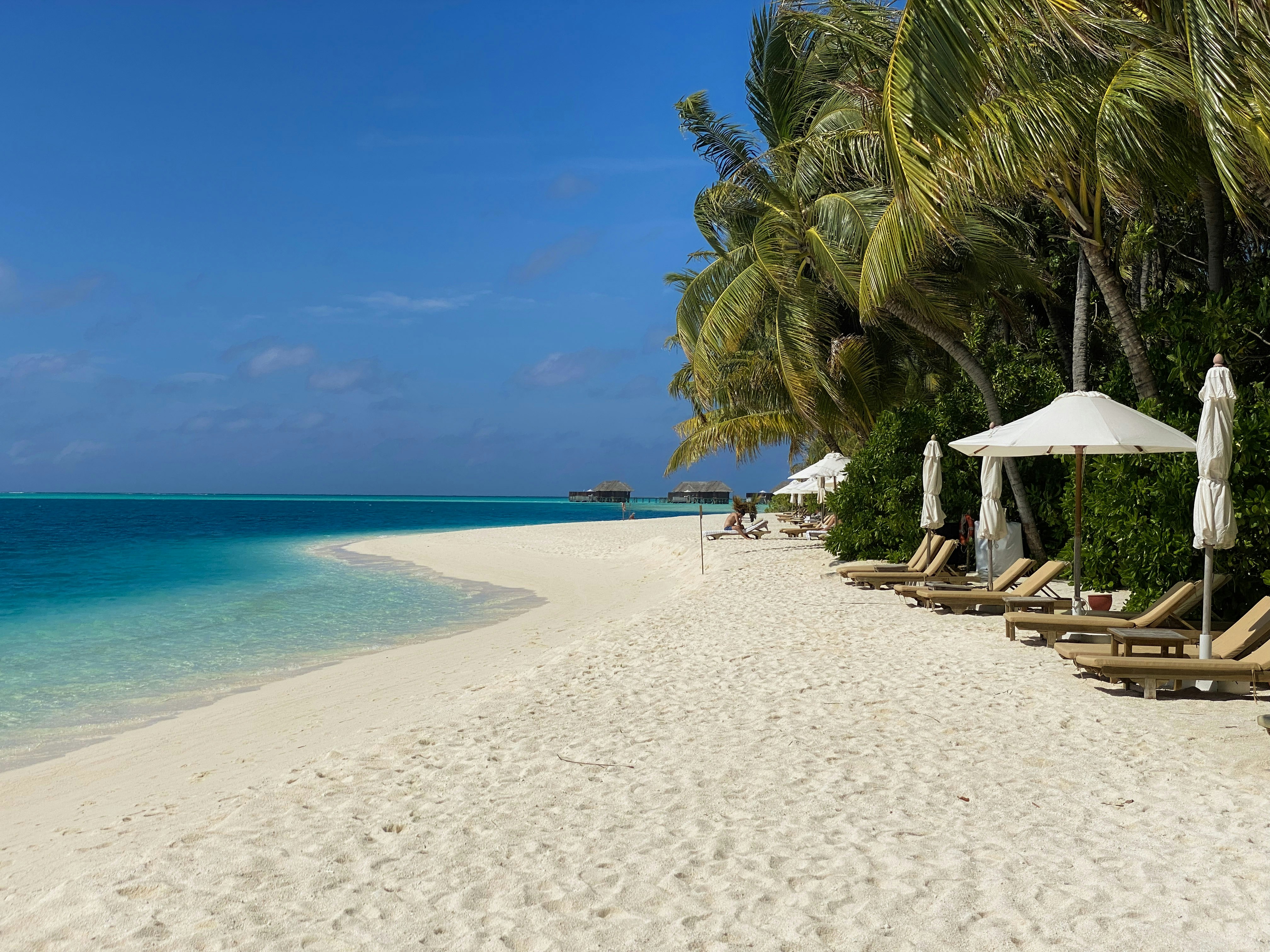 Photo by datingscout