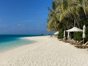 a sandy beach with lounge chairs and umbrellas