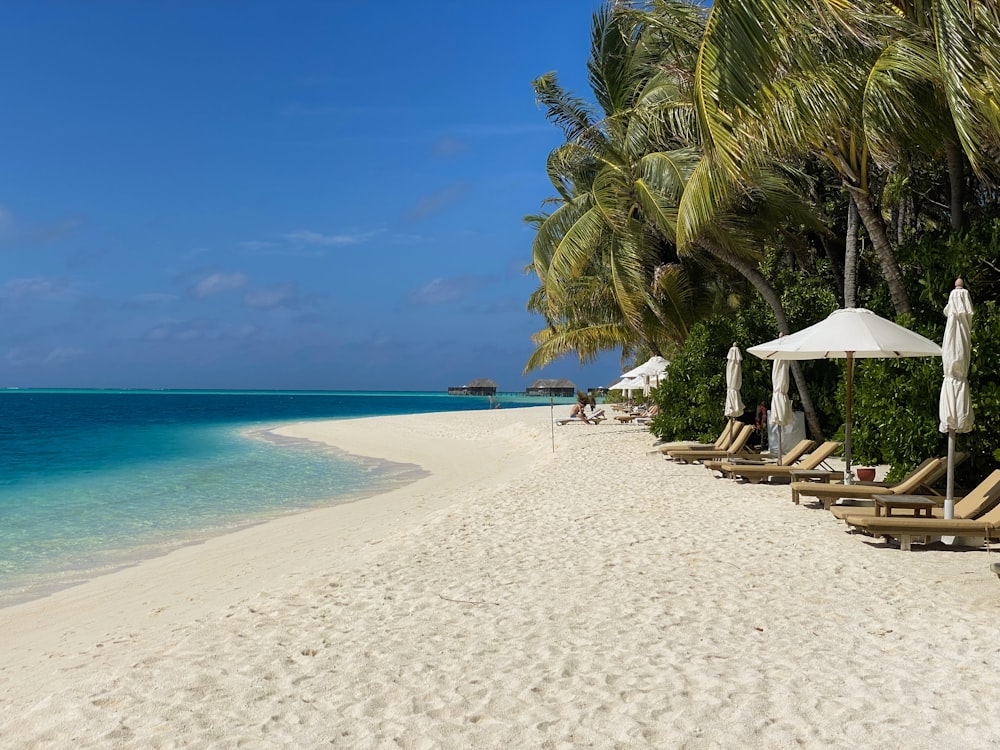 a sandy beach with lounge chairs and umbrellas