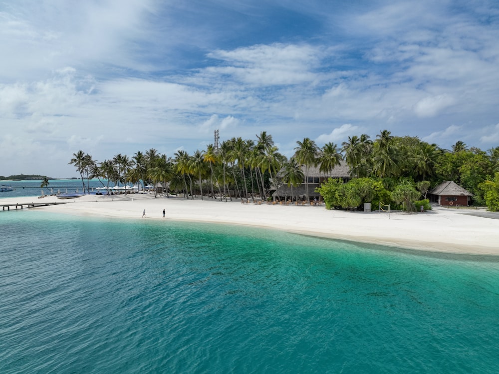 a white sandy beach surrounded by palm trees