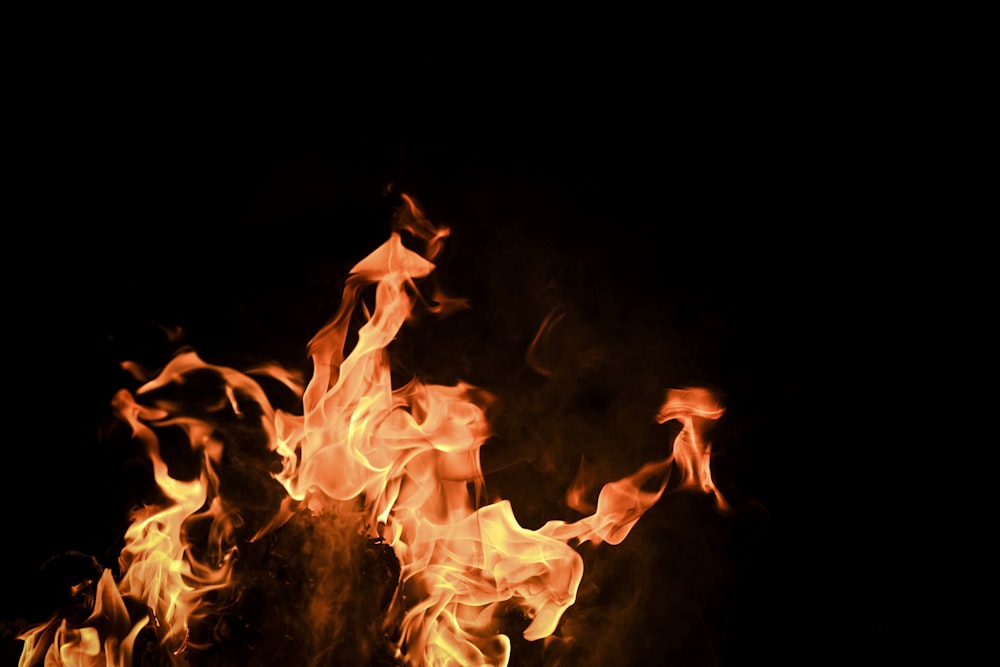a bunch of fire flames on a black background