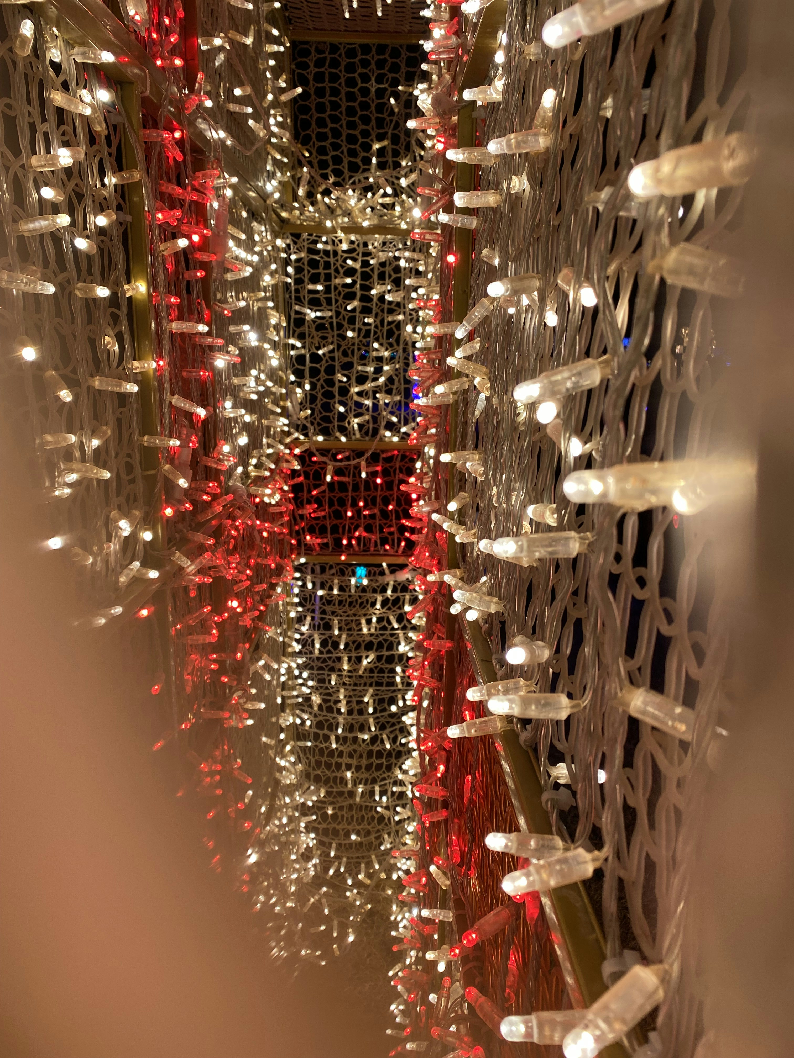 Photo by carsyndamron