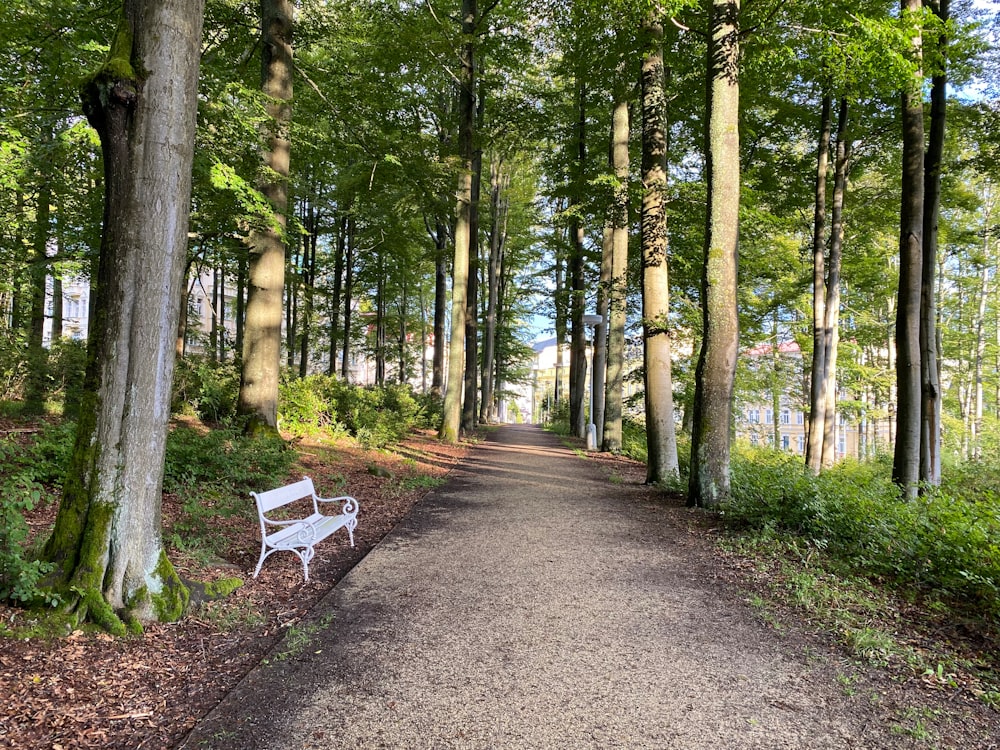 a white bench sitting on the side of a road