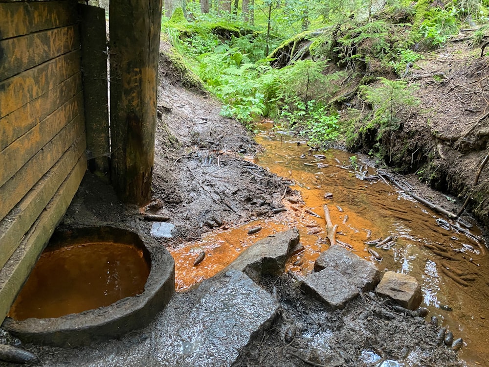 a muddy stream running through a forest next to a wooden building