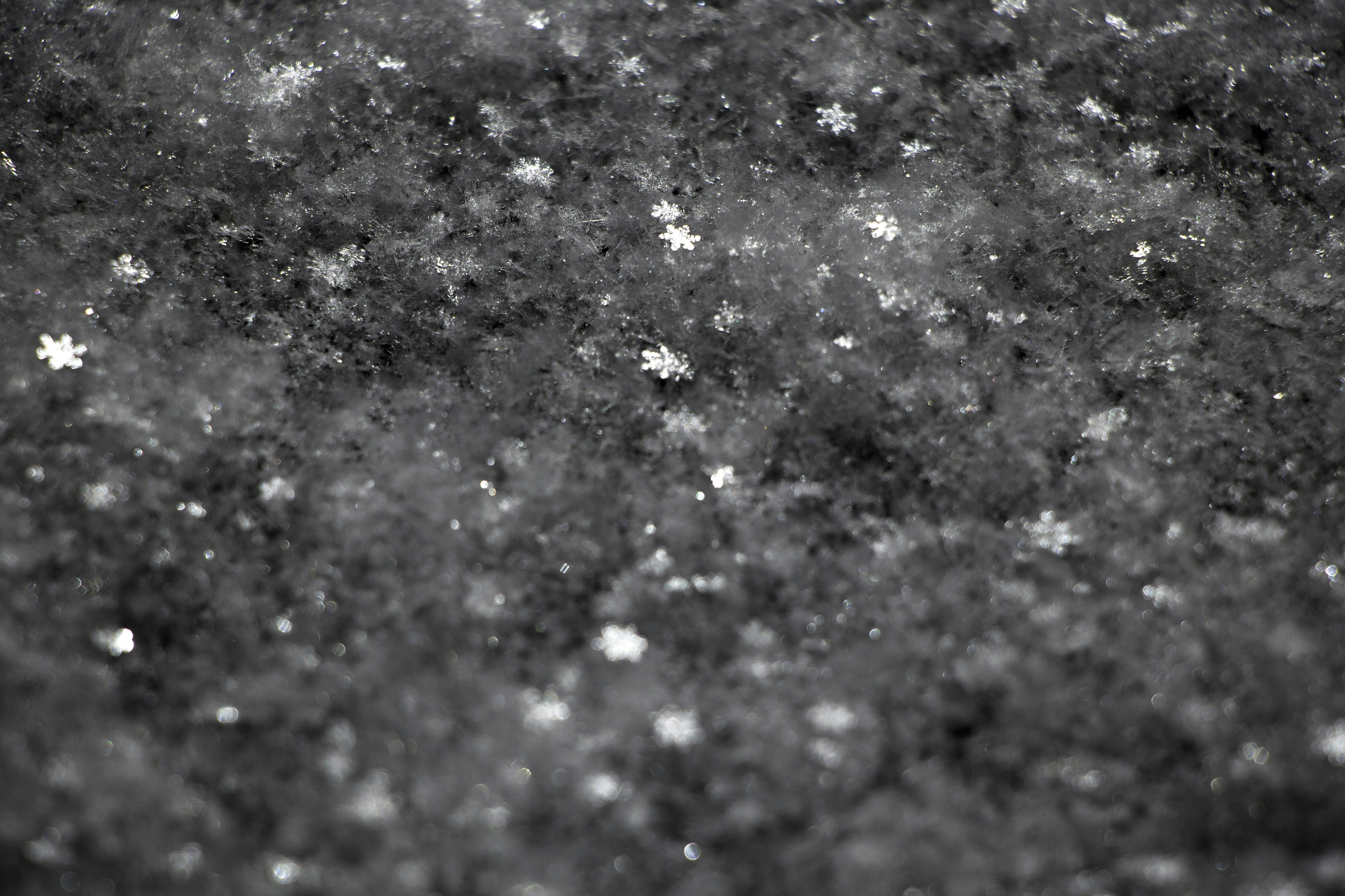 Photo by davidmcguire