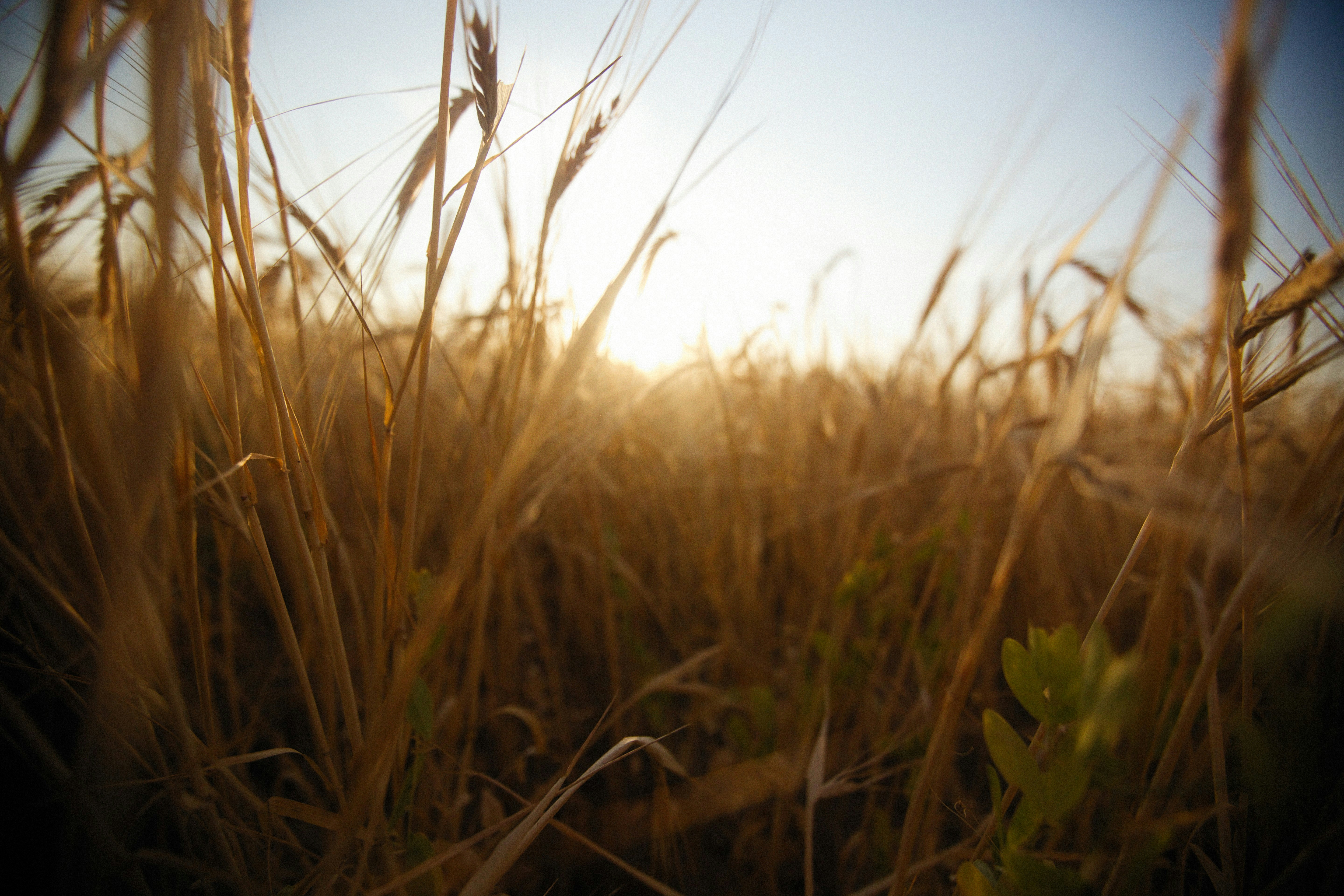 Photo by alexeydemidov