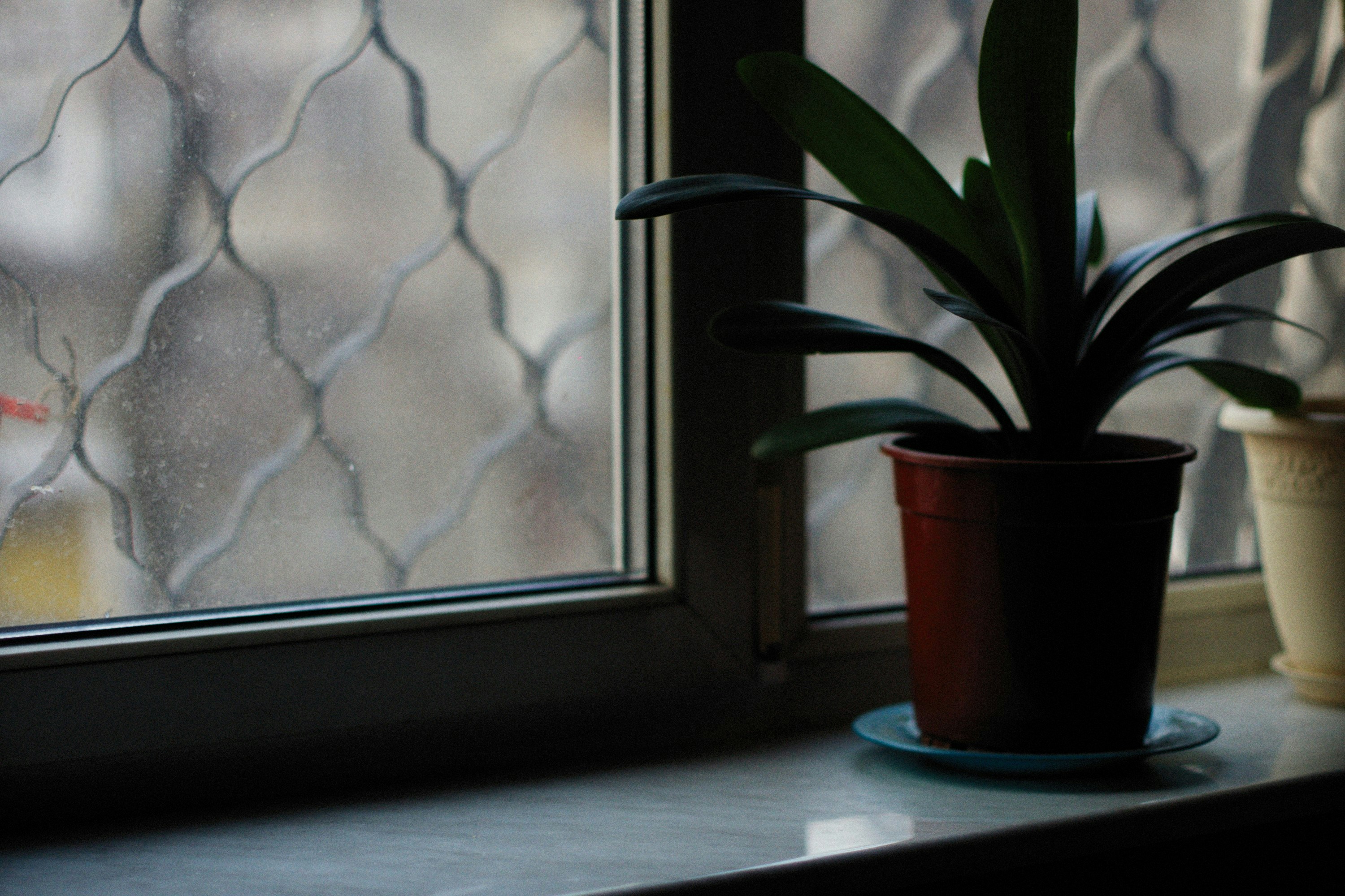 Photo by alexeydemidov